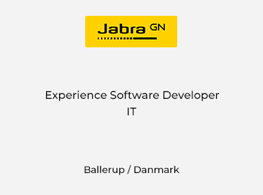 Experience Software Developer
