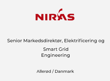 Senior Markedsdirektør, Power Transmission, Elektrificering og Smart Grid