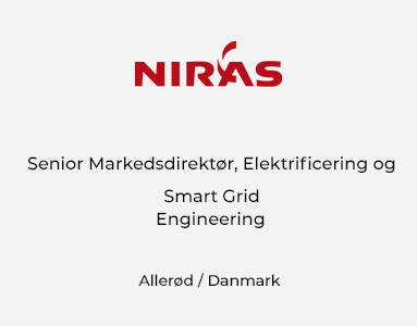 Senior Markedsdirektør, Power Transmission, Elektrificering og Smart Grid