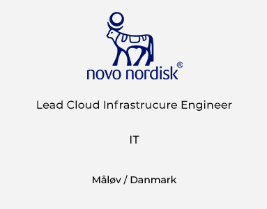 Lead Cloud Infrastructure Engineer
