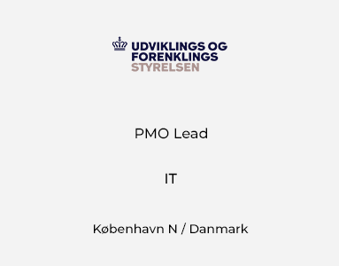 PMO Lead