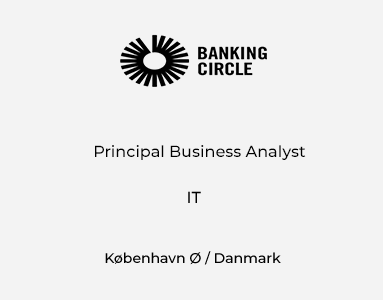 Principal Business Analyst