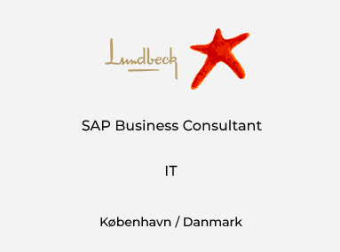 SAP Business Consultant