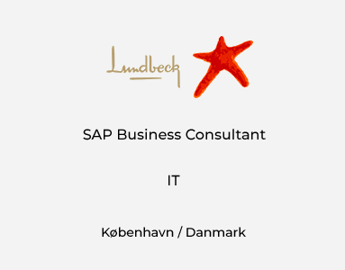 SAP Business Consultant