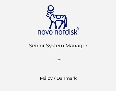 Senior System Manager