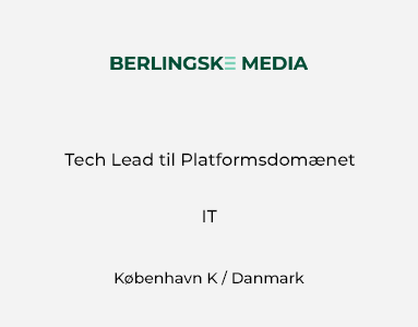 Tech Lead til Platformsdomænet