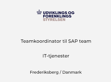 Teamkoordinator til SAP team