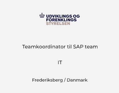 Teamkoordinator til SAP team