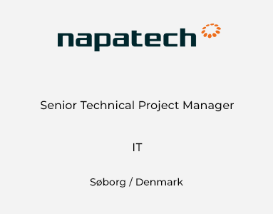 Senior Technical Project Manager