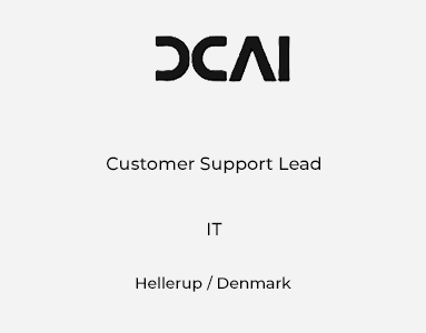 Customer Support Lead