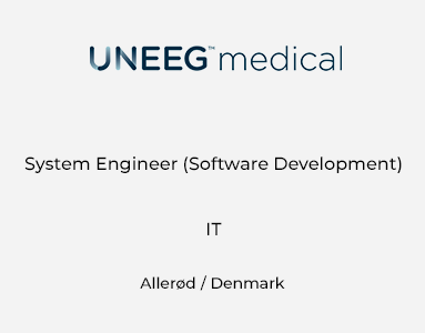 System Engineer (Software Development)