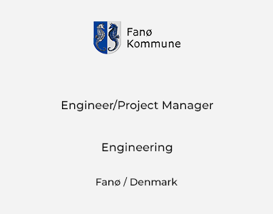 Engineer/Project Manager